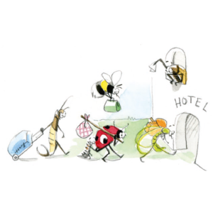 Créer un hôtel à insectes